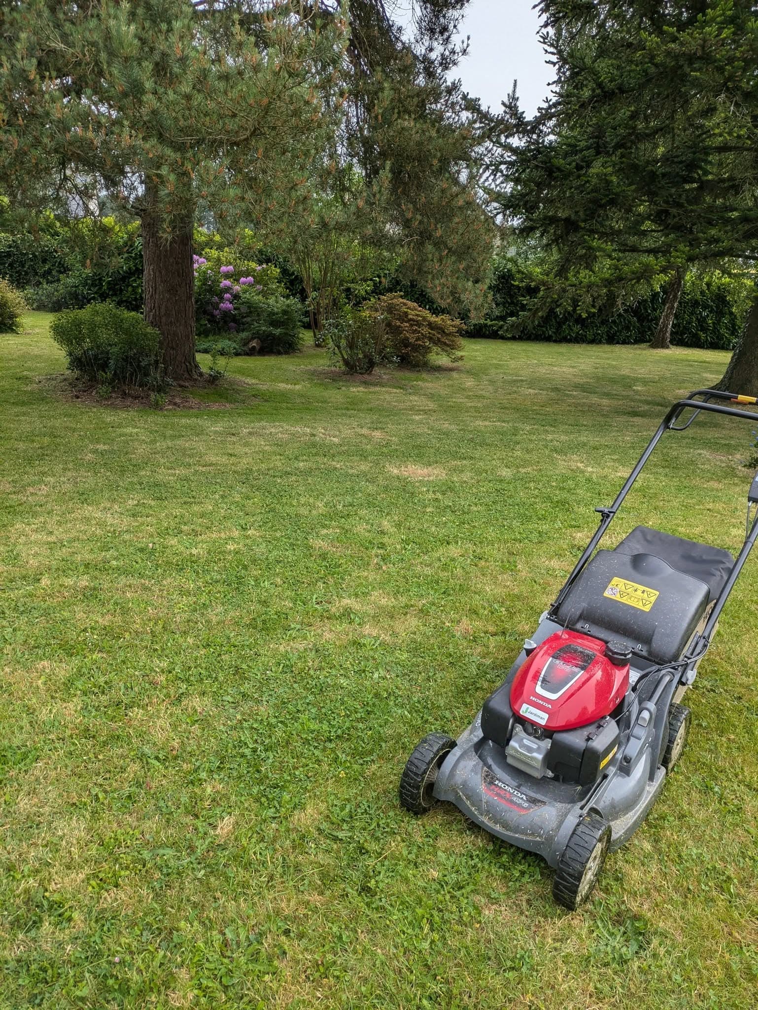 Grande pelouse fraîchement tondue dans un jardin arboré